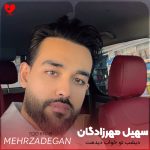 دانلود آهنگ دیشب تو خواب دیدمت از سهیل مهرزادگان